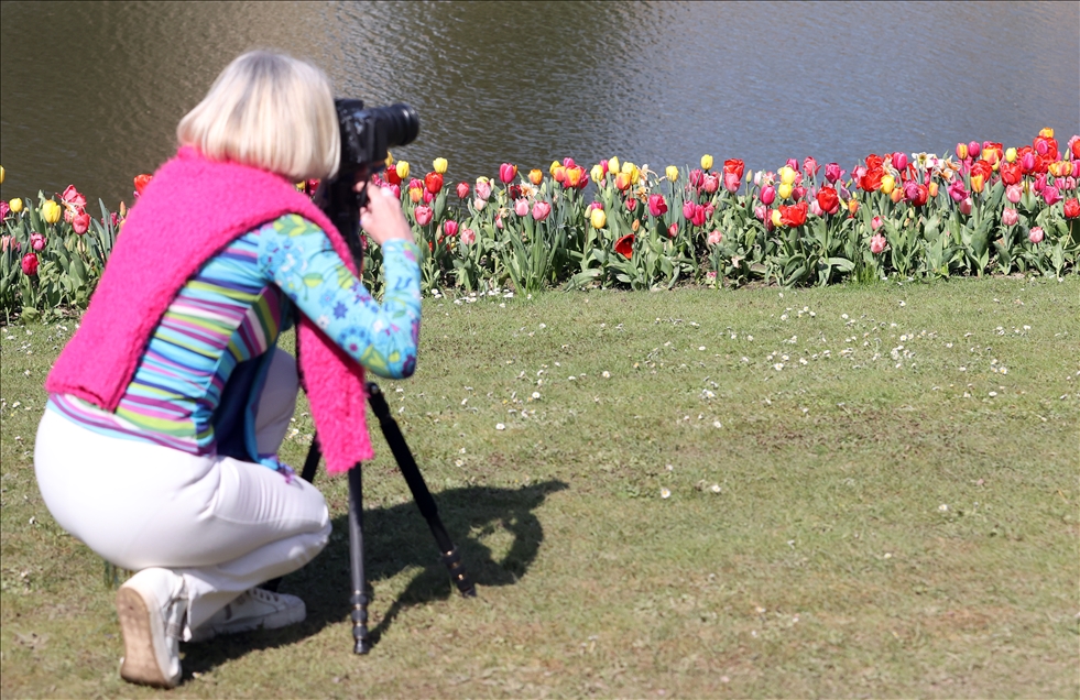 18th international flower exhibition at Grand Bigard Castle in Brussels