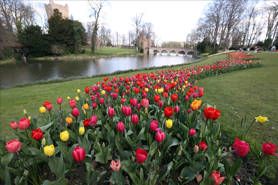 18th international flower exhibition at Grand Bigard Castle in Brussels