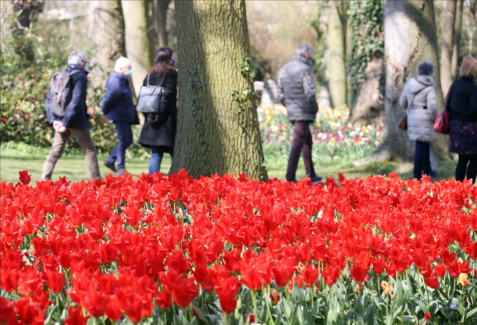 18th international flower exhibition at Grand Bigard Castle in Brussels