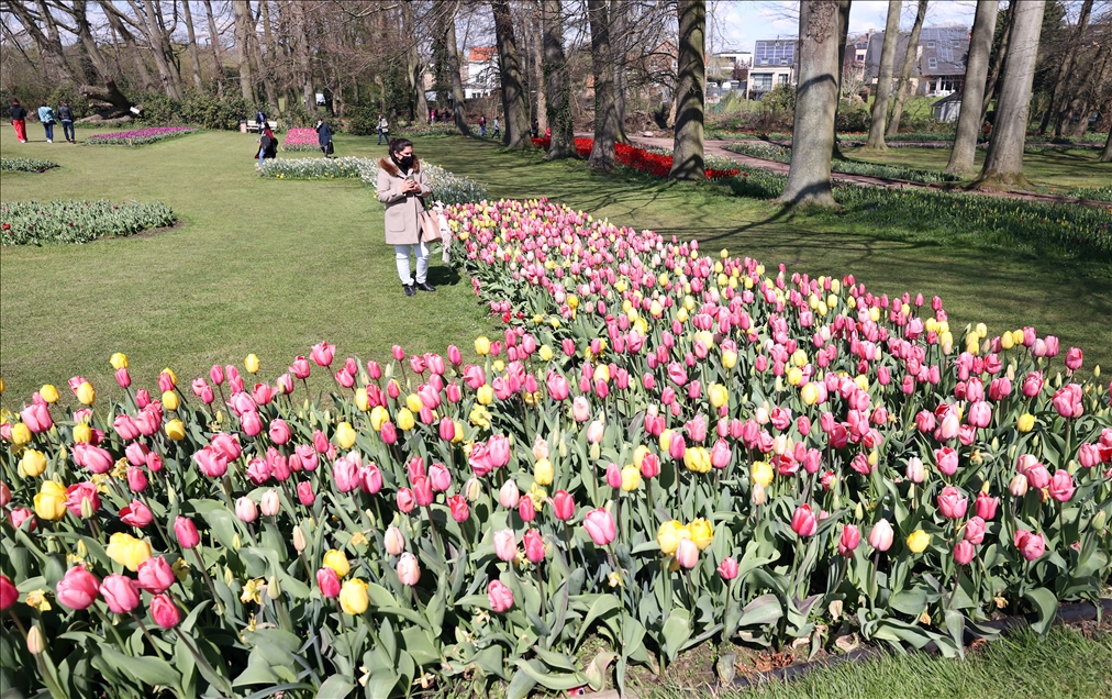18th international flower exhibition at Grand Bigard Castle in Brussels