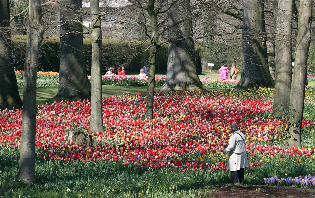 18th international flower exhibition at Grand Bigard Castle in Brussels