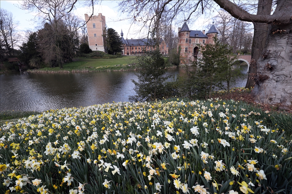 18th international flower exhibition at Grand Bigard Castle in Brussels