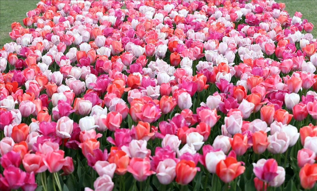 18th international flower exhibition at Grand Bigard Castle in Brussels