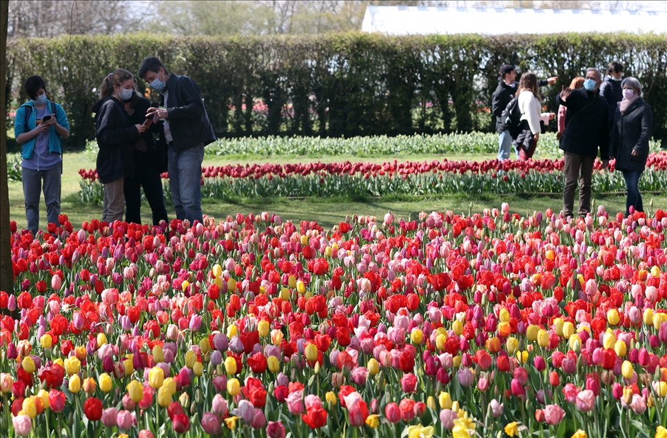 18th international flower exhibition at Grand Bigard Castle in Brussels
