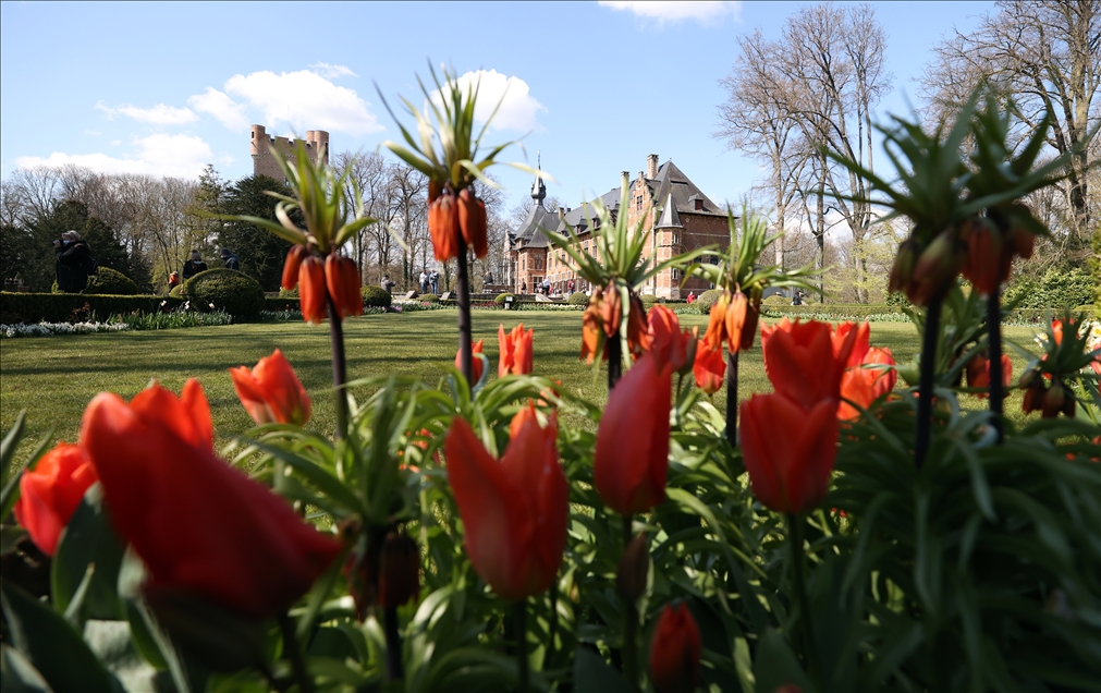 18th international flower exhibition at Grand Bigard Castle in Brussels
