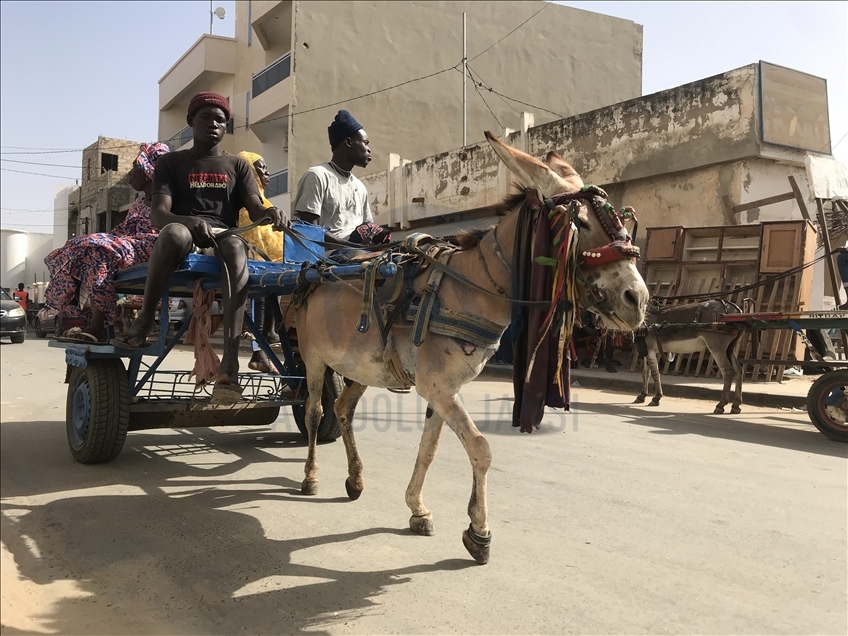 Senegal'de eşek arabaları ulaşımda sıkça tercih ediliyor