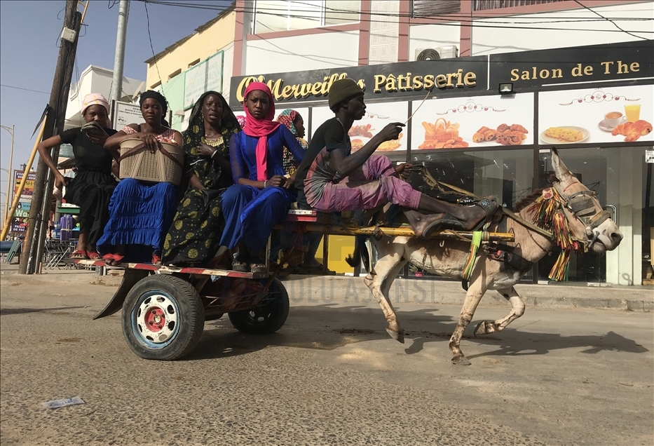 Senegal'de eşek arabaları ulaşımda sıkça tercih ediliyor