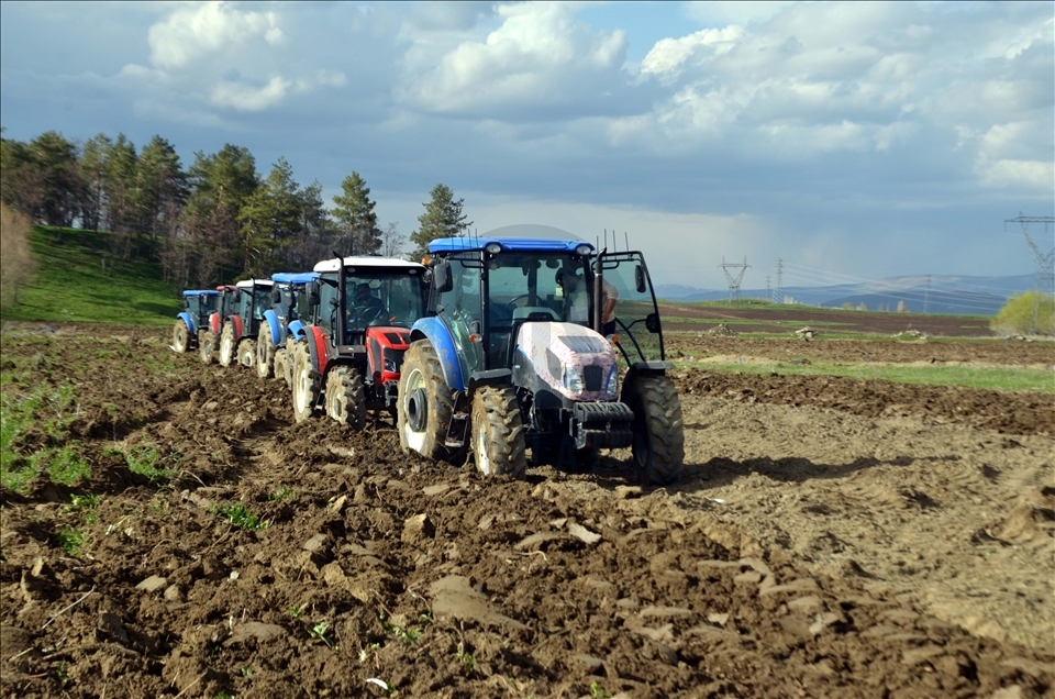 Muş Ovası'nda çiftçilerin ekim mesaisi başladı