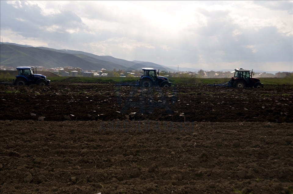 Muş Ovası'nda çiftçilerin ekim mesaisi başladı