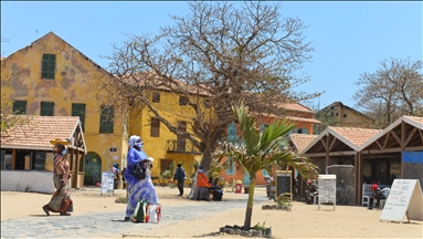 Afrika'nın parlayan yıldızı: Senegal