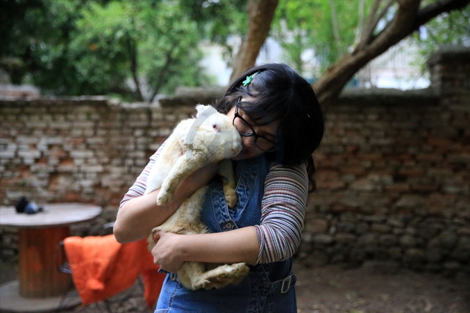 El conejo 'Zulu' se aferra a la vida con la ayuda de los amantes de los animales en Aydin, Turquía