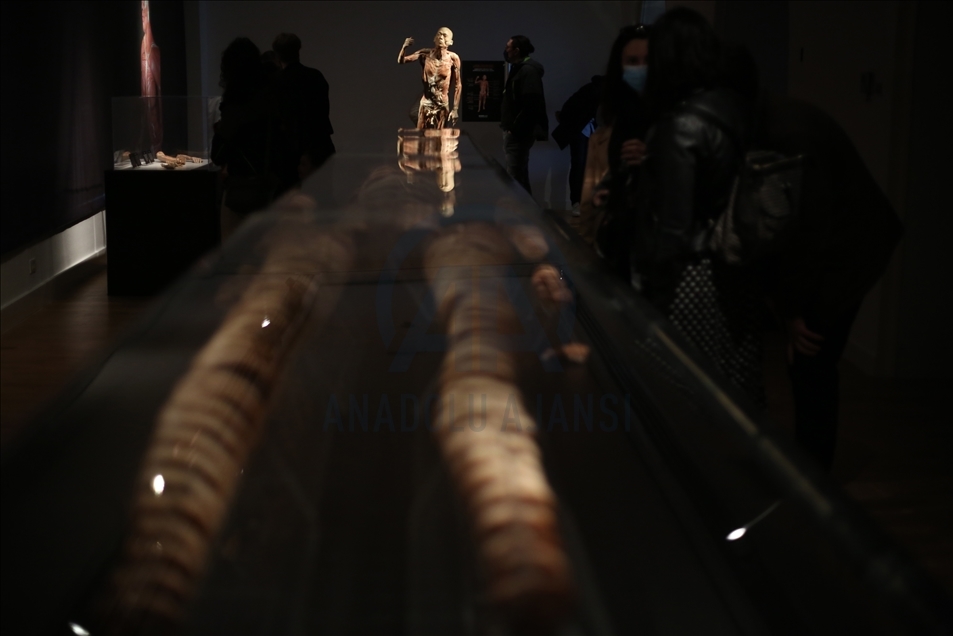 "Human Body 2.0-enormous universe within us" exhibition in Zagreb