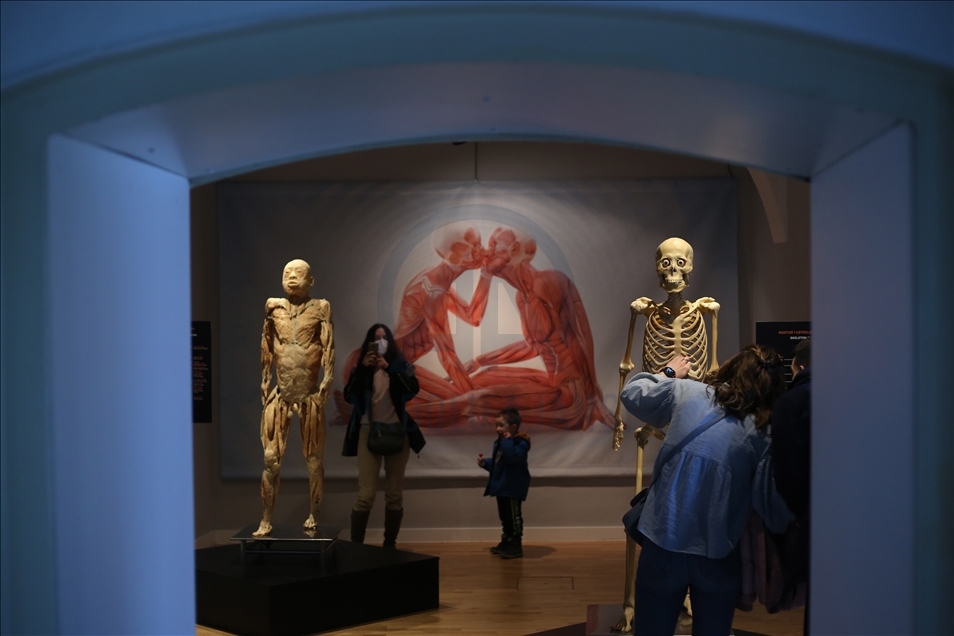 "Human Body 2.0-enormous universe within us" exhibition in Zagreb