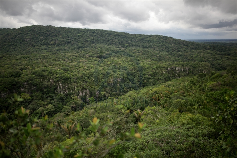 Día Internacional de la Madre Tierra