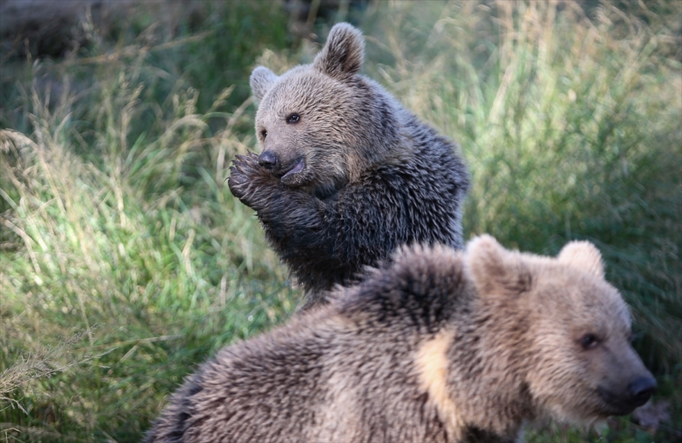 Día Internacional de la Madre Tierra