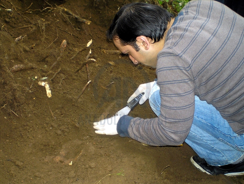 
U mjestu Goreli kod grada Giresuna pronađena je masovna grobni