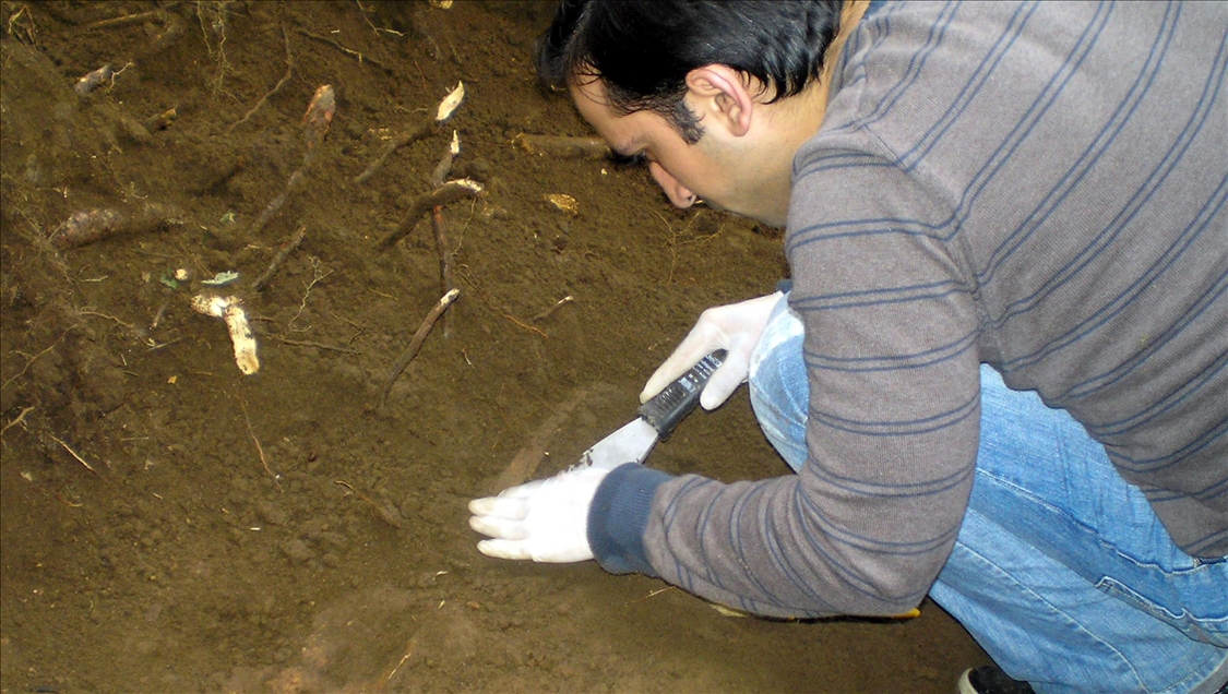 Bilimsel kazılarla Ermeni çetelerinin katliamları