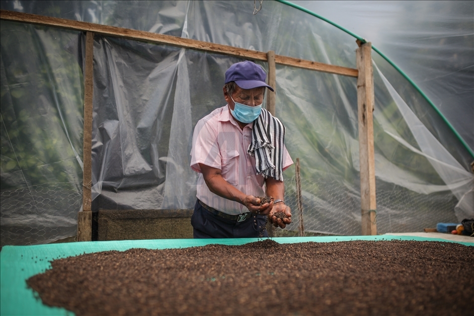 Colombia's farmers faces new opportunities - Anadolu Ajansı