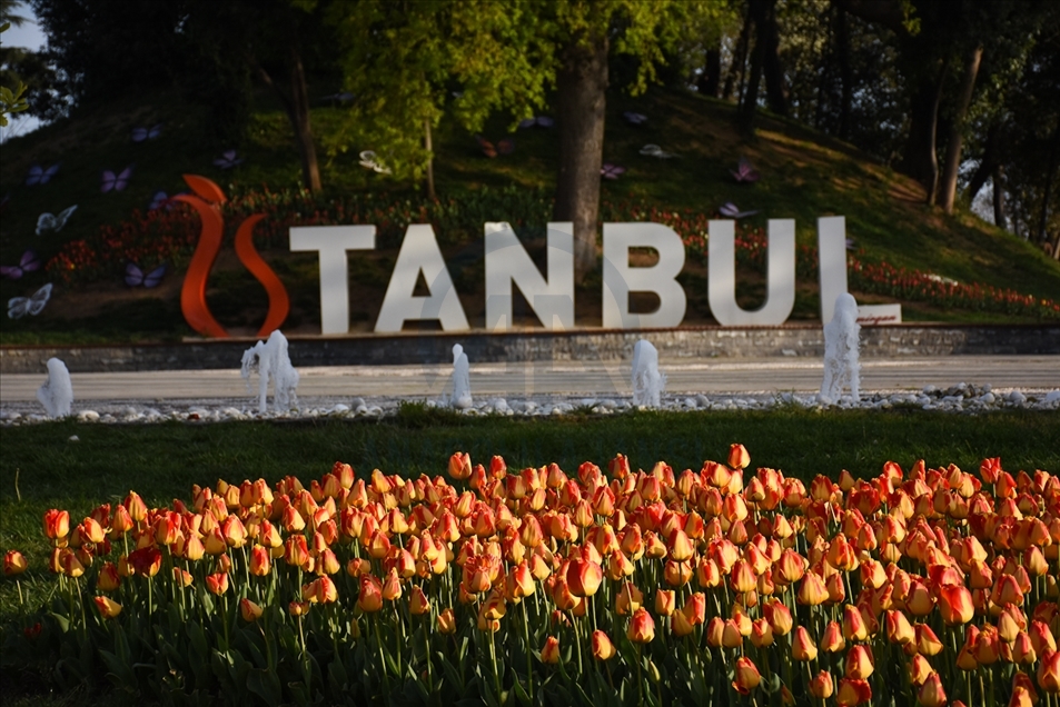 Proljetno cvijeće: Tulipani Istanbulu daju poseban šarm