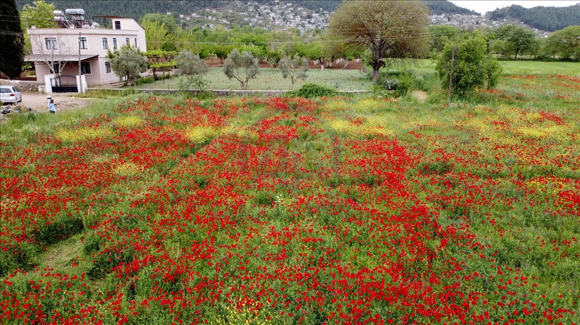 دوستداران طبیعت را به سوی خود جذب میکند.