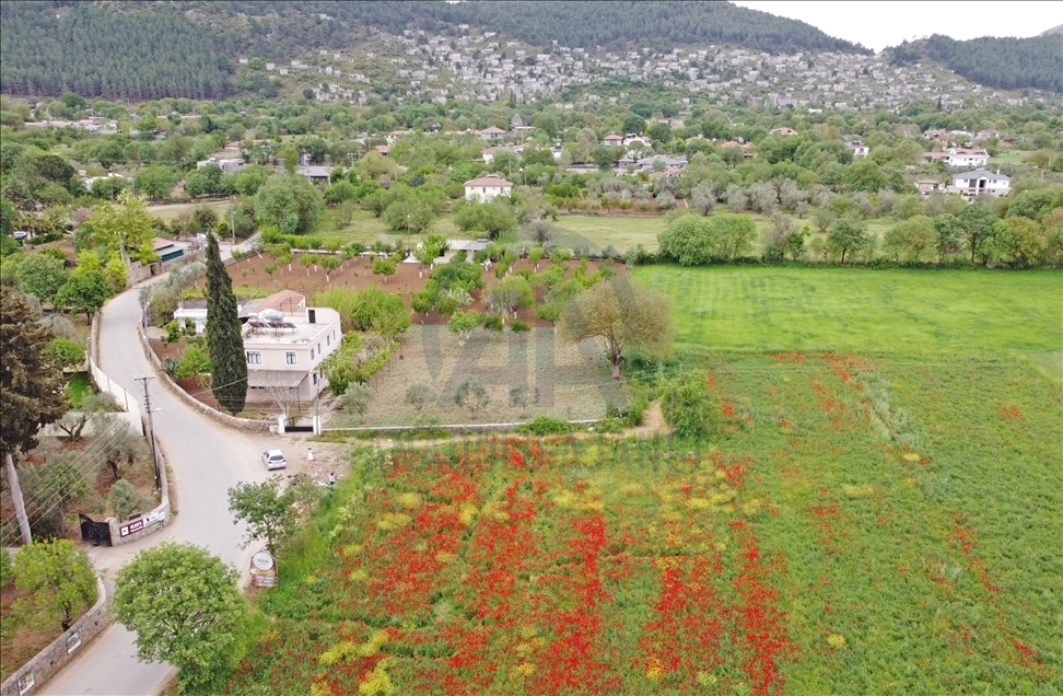 طبیعت و مناظر زیبای بهاری در موغلا