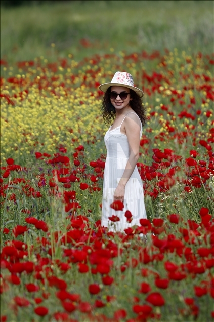 طبیعت و مناظر زیبای بهاری در موغلا
