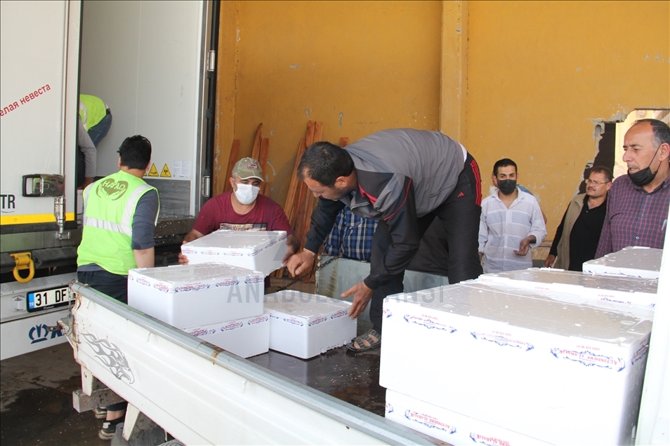 6 ton masiyên belek li malbatên destteng ên li Hatay û Efrînê hatin belavkirin