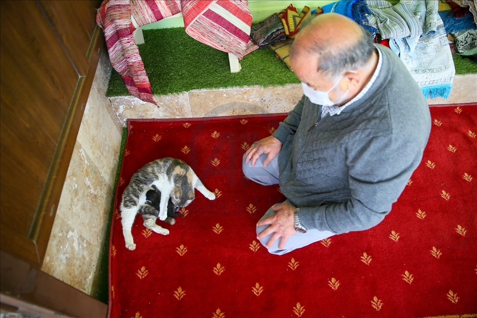 Anne kedi ile minik yavrusuna mescit "yuva" oldu