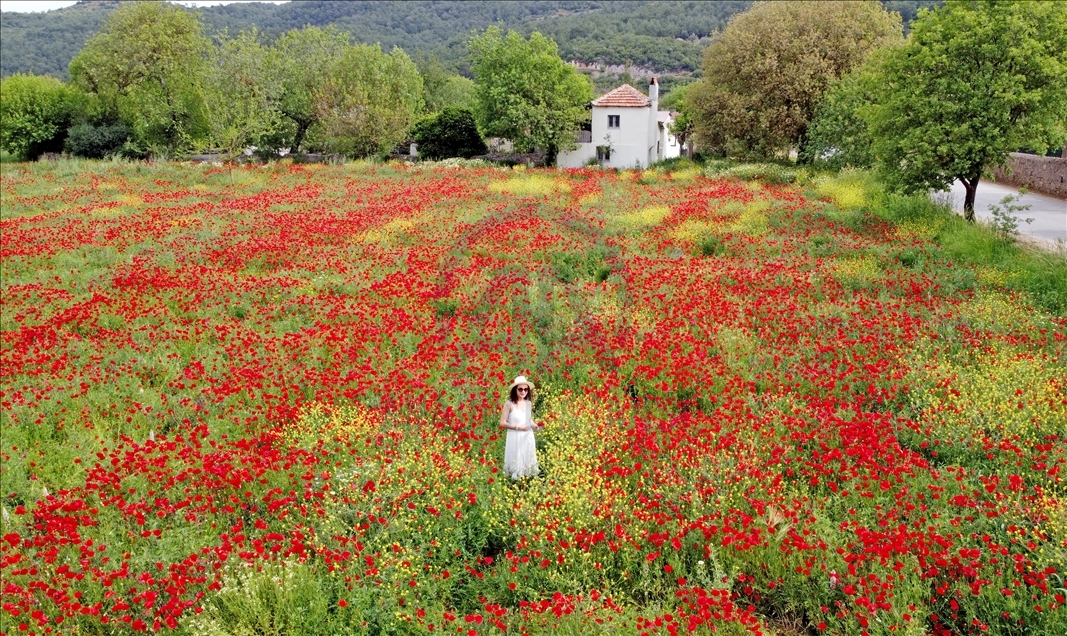 طبیعت و مناظر زیبای بهاری در موغلا