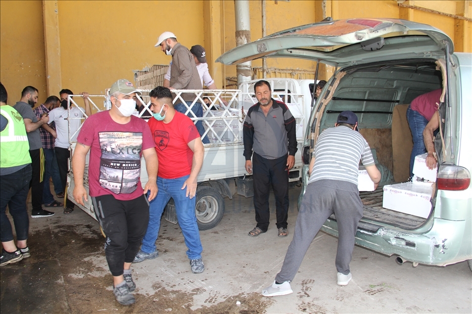 6 ton masiyên belek li malbatên destteng ên li Hatay û Efrînê hatin belavkirin