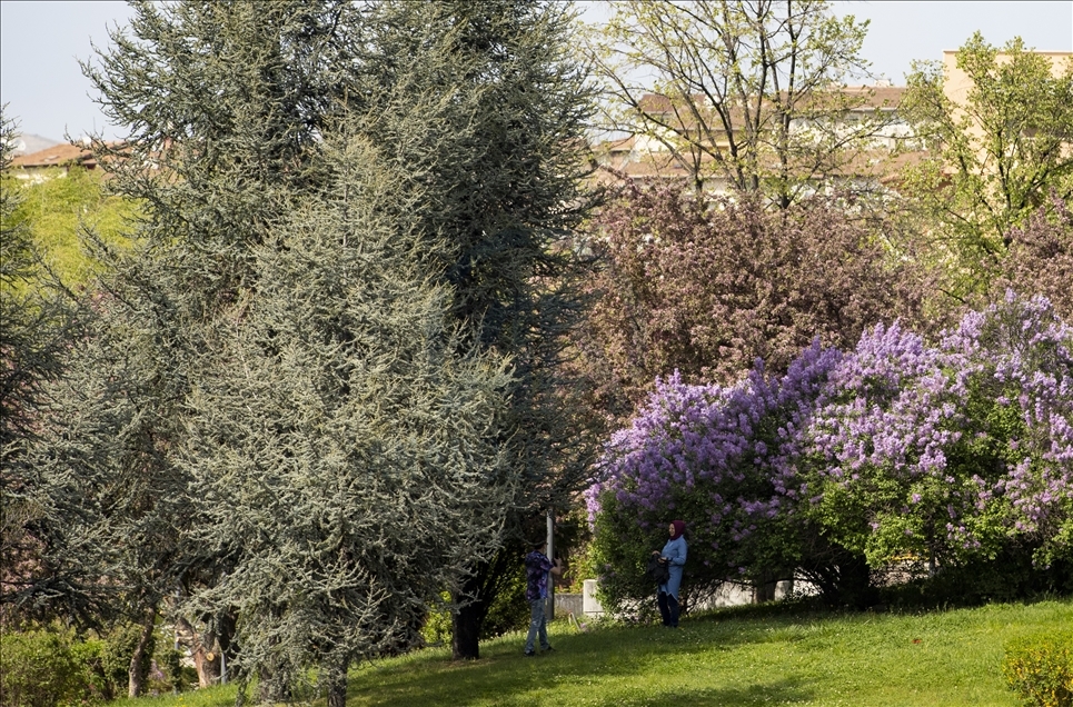 Spring in Ankara