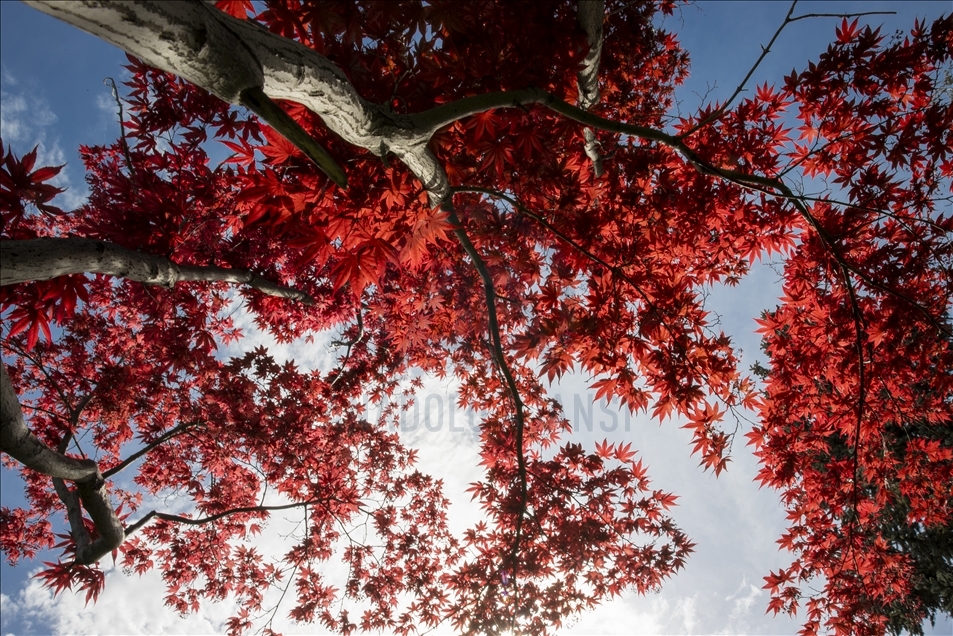 Spring in Ankara