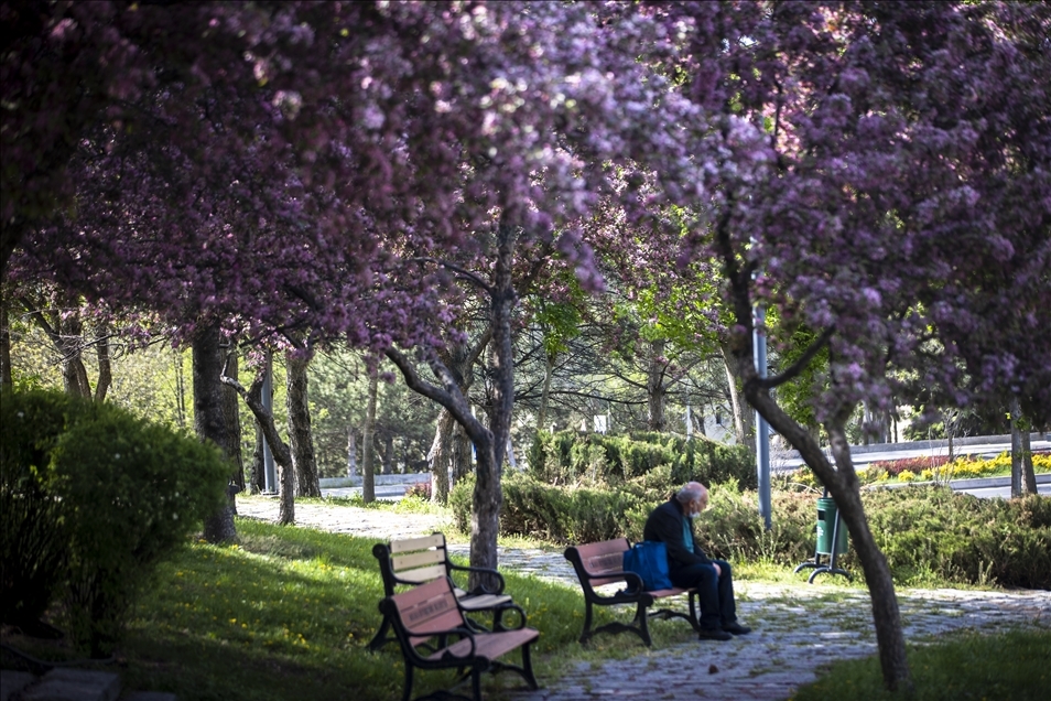 Spring in Ankara