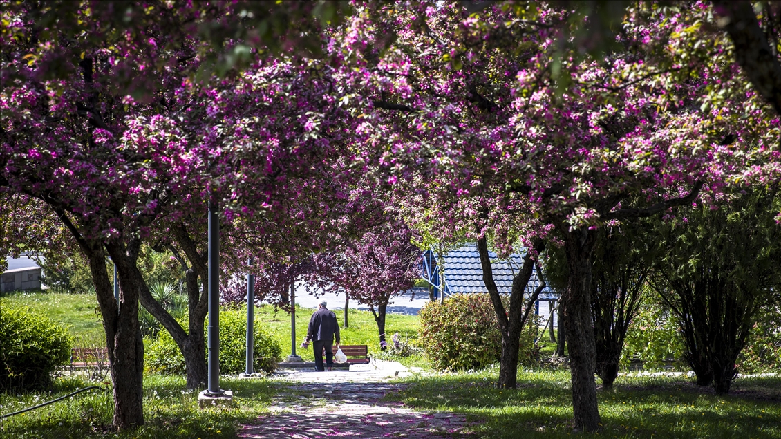 Spring in Ankara