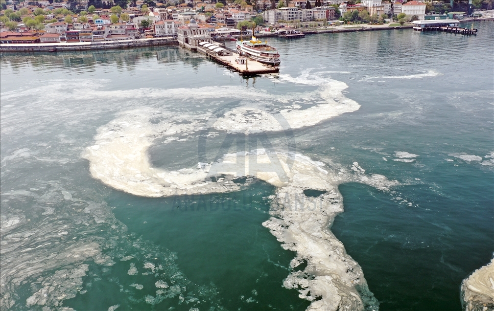 Anadolu Yakası'nda deniz yüzeyinde oluşan beyaz tabaka kıyıya da vurdu