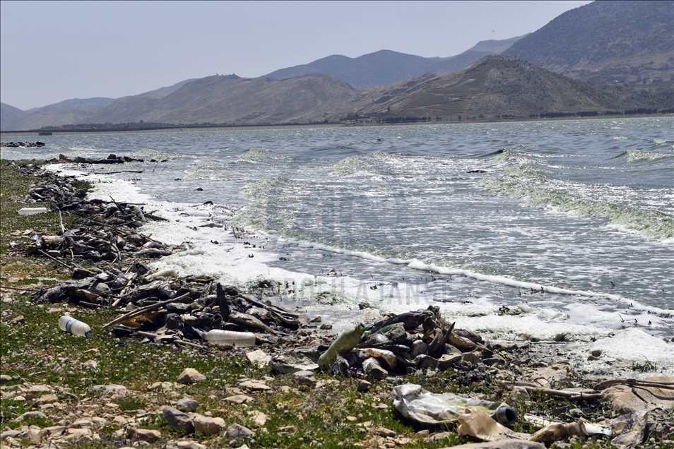 لبنان.. نفوق كميات كبيرة من الأسماك في بحيرة "القرعون"