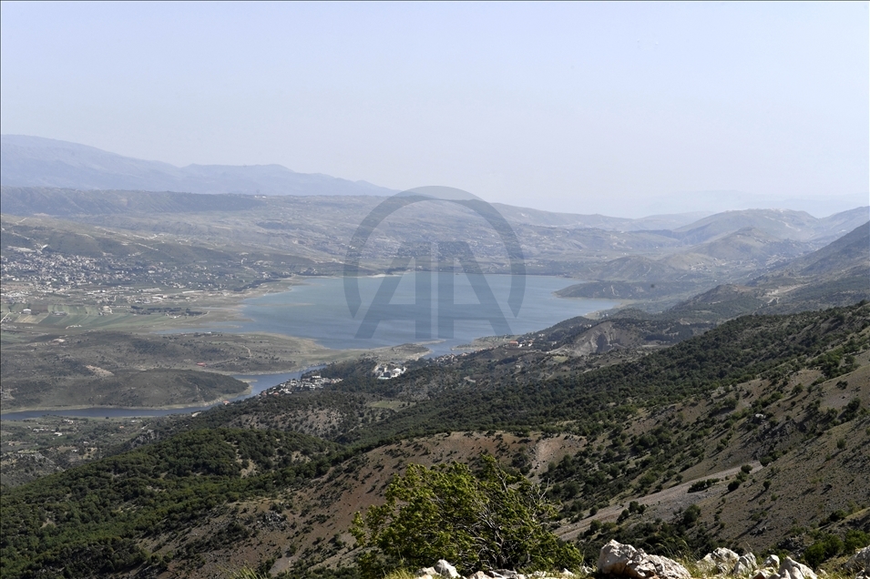 لبنان.. نفوق كميات كبيرة من الأسماك في بحيرة "القرعون"