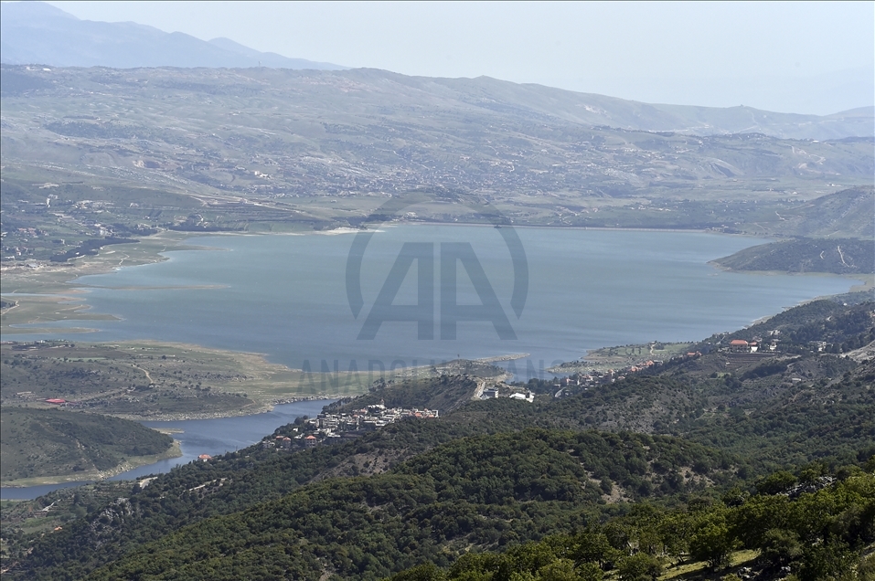 لبنان.. نفوق كميات كبيرة من الأسماك في بحيرة "القرعون"