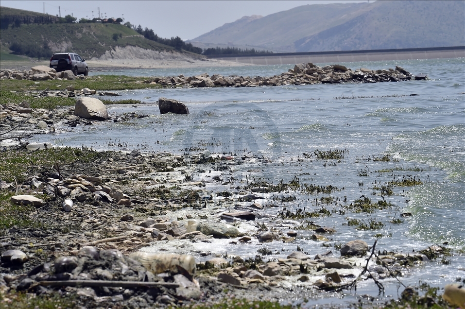 لبنان.. نفوق كميات كبيرة من الأسماك في بحيرة "القرعون"