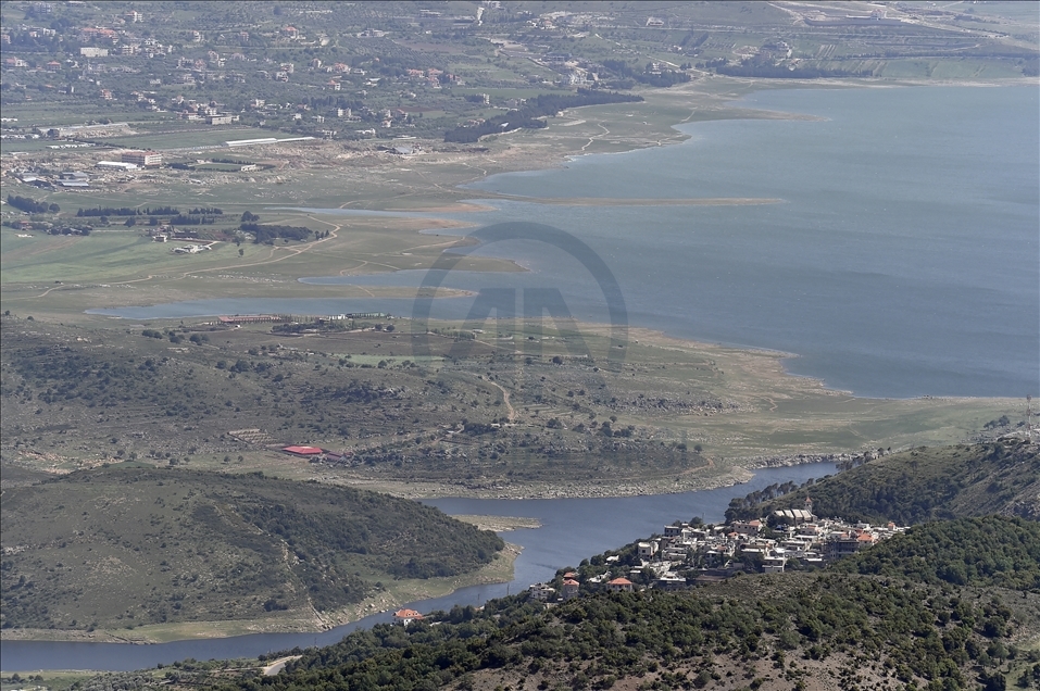 لبنان.. نفوق كميات كبيرة من الأسماك في بحيرة "القرعون"