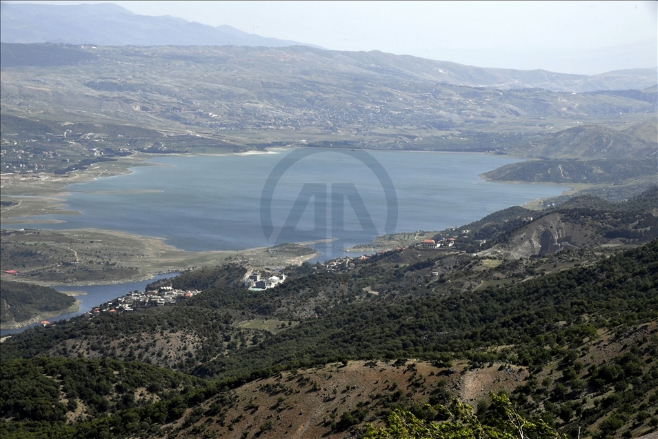 لبنان.. نفوق كميات كبيرة من الأسماك في بحيرة "القرعون"