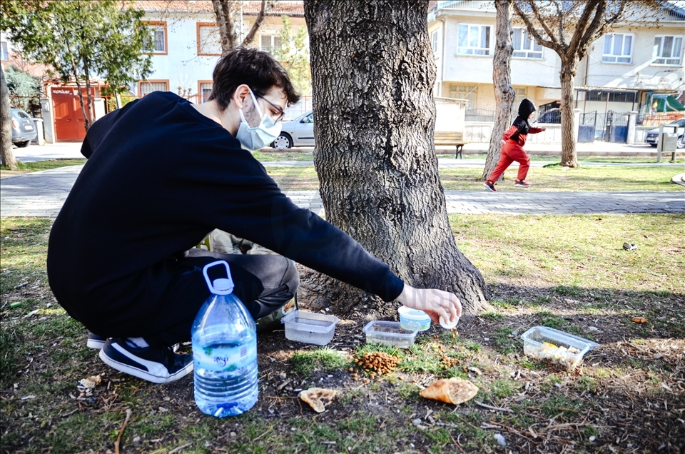 Turquie : un lycéen épargne son argent de poche pour nourrir les animaux de la rue