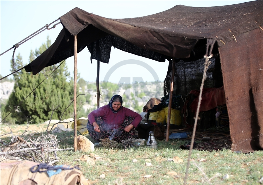 Nomads begin summer migration in Mersin for cooler uplands