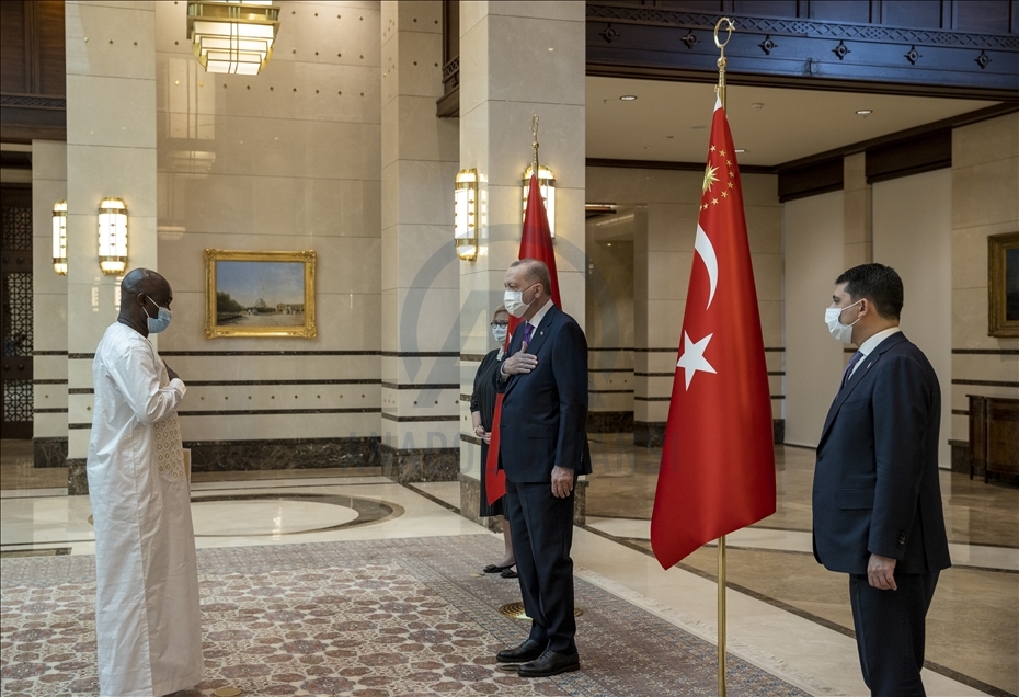 سفیر گینه بیسائو استوارنامه خود را تقدیم اردوغان کرد 