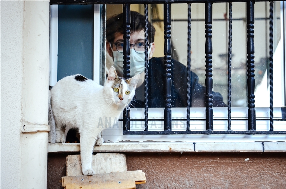 Turquie : un lycéen épargne son argent de poche pour nourrir les animaux de la rue