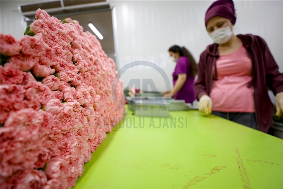 Flowers prepared for upcoming Mother's Day in Antalya