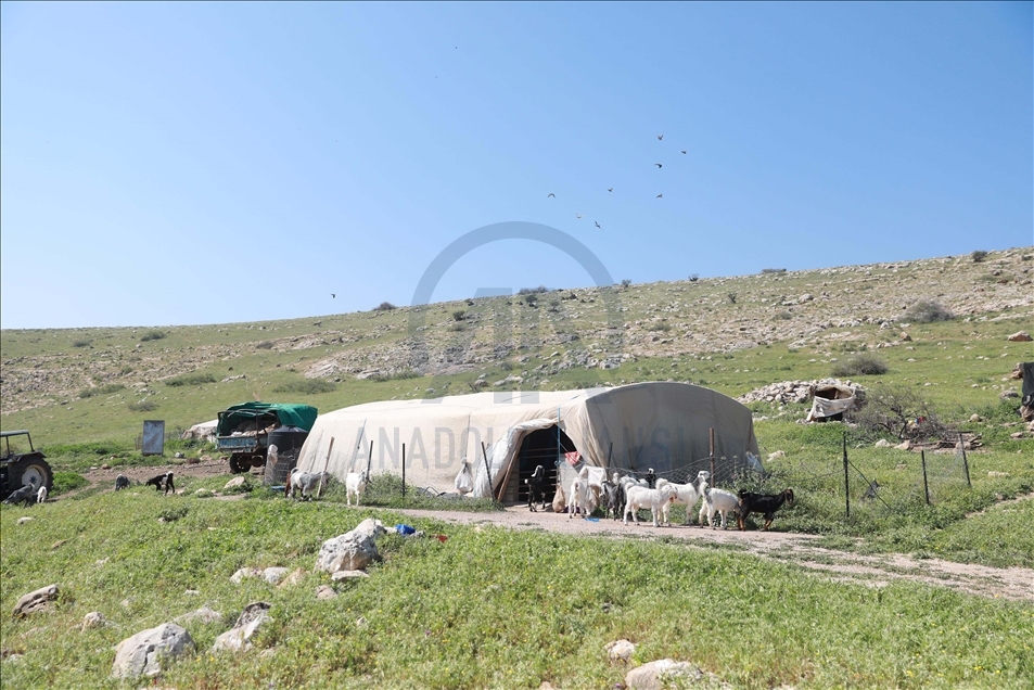 "الميتة".. تجمّع بدوي فلسطيني يواجه قرارا إسرائيليا بالهدم