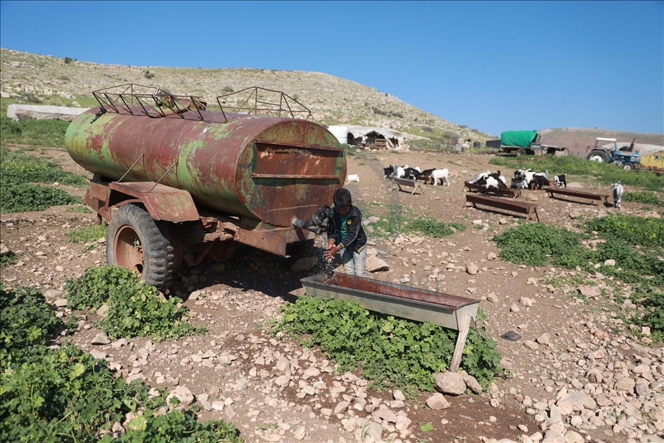 "الميتة".. تجمّع بدوي فلسطيني يواجه قرارا إسرائيليا بالهدم