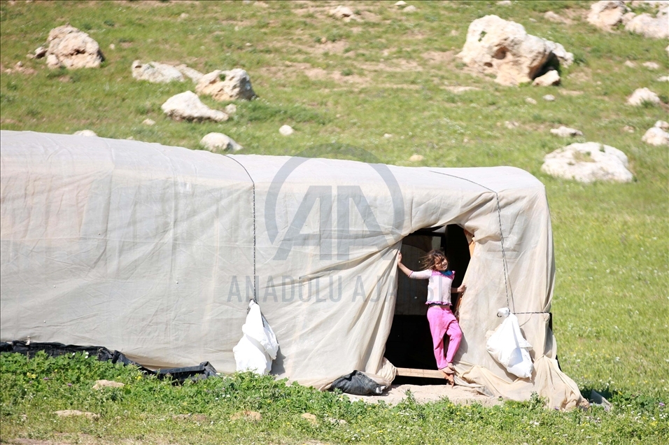 "الميتة".. تجمّع بدوي فلسطيني يواجه قرارا إسرائيليا بالهدم