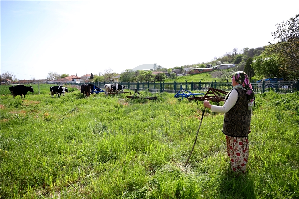 Daholvana jin radihêje dahola xwe maniyan dibêje û gundiyan radike paşîvê